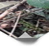 春スノードロップポスター ポスター (角)