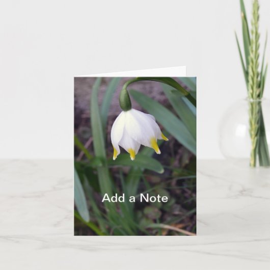 春スノーフレークロイコジュムバーナムカスタマイズ ノートカード (正面)