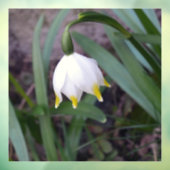 春スノーフレークロイコジュムバーナムフラワー ウィンドウサイン (シート3)