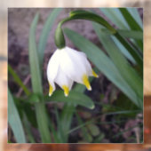 春スノーフレークロイコジュムバーナムフラワー ウィンドウサイン (シート2)