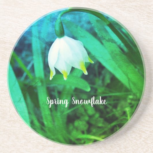 春スノーフレークロイコジュムバーナムフラワー コースター (正面)