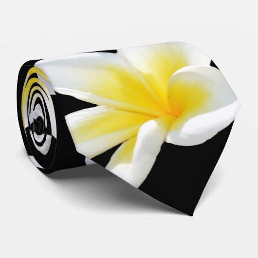 春セレナーデ:黄色いフランジパニスオンブラック、 ネクタイ (ロール)