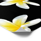 春セレナーデ：黄色いフランジパニスオンブラック、 ポスター (角)