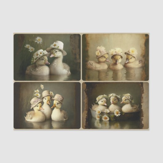 春ダクリング 薄葉紙 (正面)