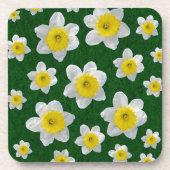 春ダフォジル コースター (正面)