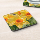 春ダフォジル コースター (左側)