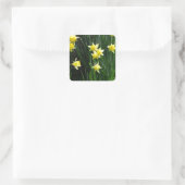 春ダフォジル スクエアシール (バッグ)