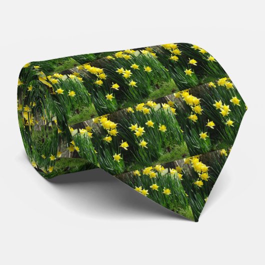 春ダフォジル ネクタイ (ロール)