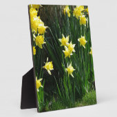 春ダフォジル フォトプラーク (側面)