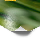 春ダフォジル フォトプリント            (角)