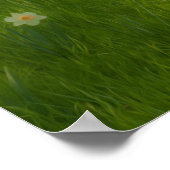 春ダフォジル ポスター (角)