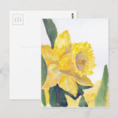 春ダフォジル ポストカード (正面/裏面)