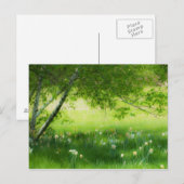 春ダフォジル ポストカード (正面/裏面)