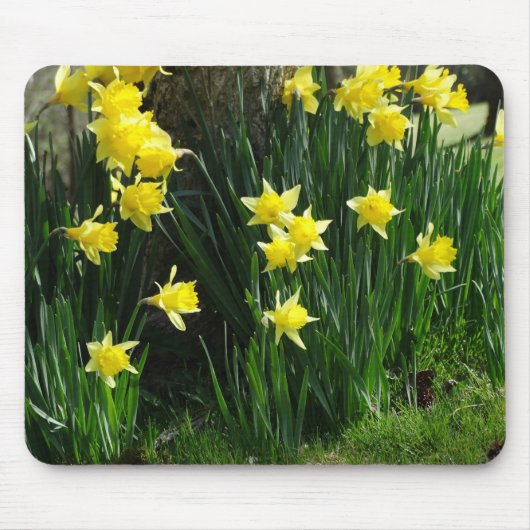 春ダフォジル マウスパッド (正面)