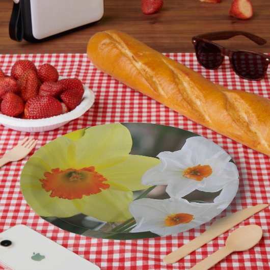 春ダフォディル開花フローラ ペーパープレート (ピクニック)