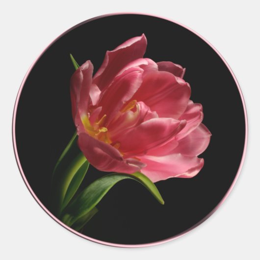 春ダブル開花チューリップ封筒用シールシール ラウンドシール (正面)