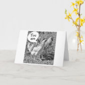 春チキン40歳の誕生日 カード (黄色い花)