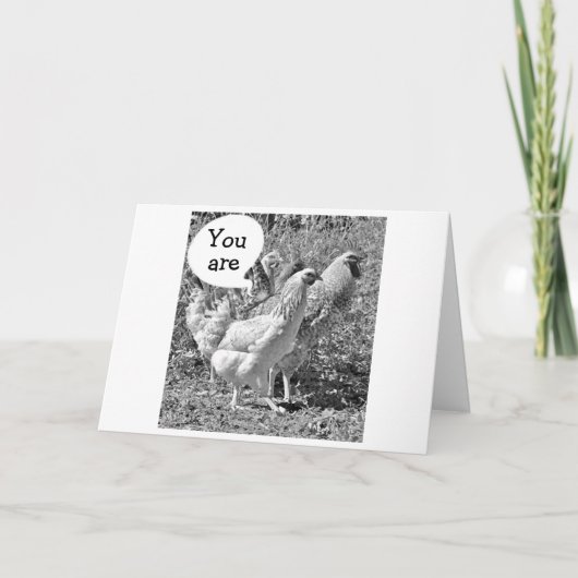 春チキン40歳の誕生日 カード (正面)