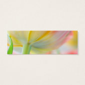 春チューリップの色・結婚のウェブサイトカード (裏面)