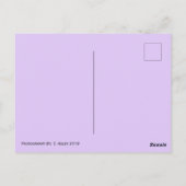 春チューリップはがき ポストカード (裏面)