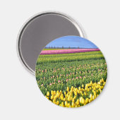春チューリップス場 マグネット (正面/裏面)