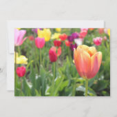 春チューリップパーティの招待状 招待状 (裏面)