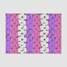 春チューリップフィールド