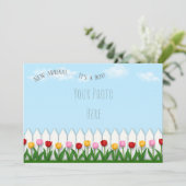 春チューリップホワイトピケットフェスカスタムト写真 案内状 (スタンド正面)