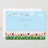 春チューリップホワイトピケットフェスカスタムト写真 案内状 (正面/裏面)