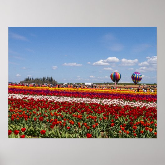 春チューリップポスター紙（マット） ポスター (正面)