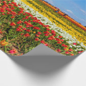 春チューリップラッピング紙 ラッピングペーパー (角)