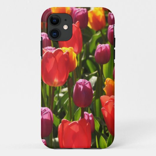 春チューリップ美しい Case-Mate iPhoneケース (裏面)