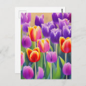 春チューリップ葉書 ポストカード (正面/裏面)