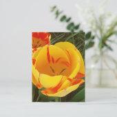 春チューリップ葉書 ポストカード (スタンド正面)