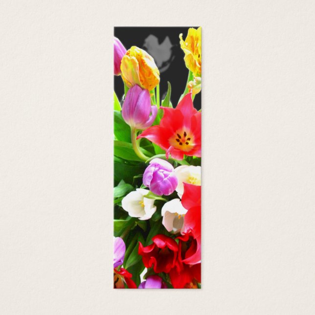 春チューリップ (正面)