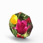 春チューリップ(オレゴン) フォトブロック (右)