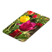 春チューリップ(オレゴン) マグネット (左側)