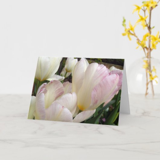 春チューリップ カード (黄色い花)