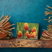 春チューリップ フォトプラーク (側面)