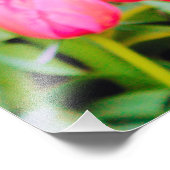 春チューリップ フォトプリント            (角)