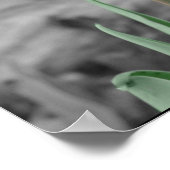 春チューリップ ポスター (角)