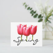 春チューリップ ポストカード (スタンド正面)