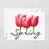 春チューリップ ポストカード (正面/裏面)