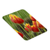 春チューリップ マグネット (右側)