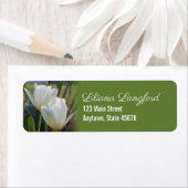 春チューリップ ラベル (インサイチュ)