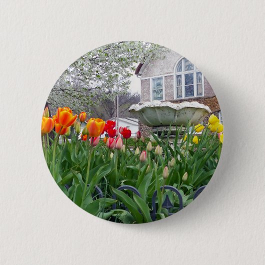 春チューリップ 缶バッジ (正面)