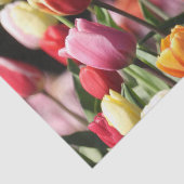 春チューリップ 薄葉紙 (詳細)