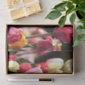 春チューリップ 薄葉紙 (ギフト)