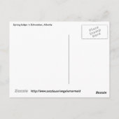 春チューリップinエドモントン ポストカード (裏面)