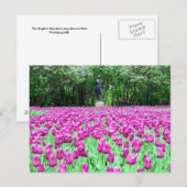 春チューリップin the English Garden'sポストカード ポストカード (正面/裏面)